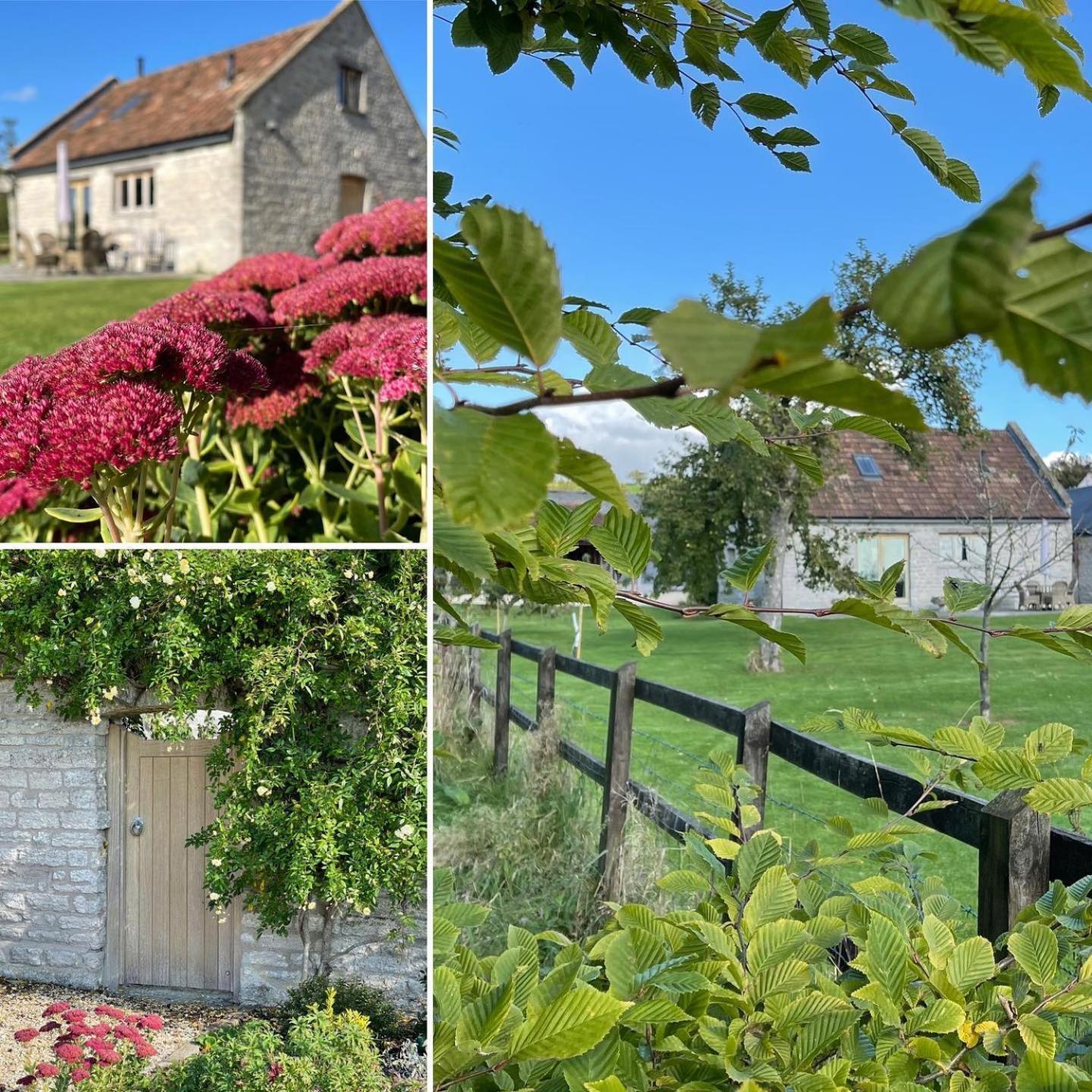 Yew Tree Cottage Shepton Mallet Exterior foto